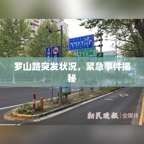 罗山路突发状况，紧急事件揭秘