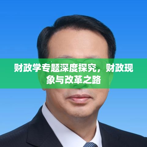 财政学专题深度探究，财政现象与改革之路