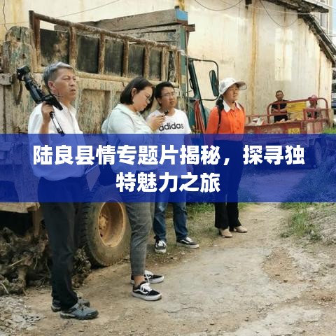 陆良县情专题片揭秘，探寻独特魅力之旅