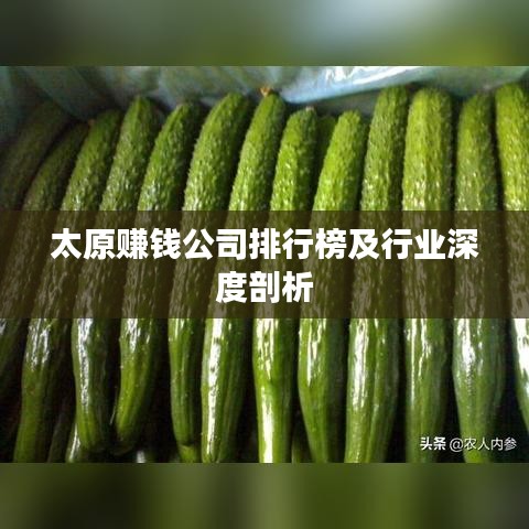 太原赚钱公司排行榜及行业深度剖析