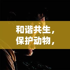 和谐共生，保护动物，共筑自然家园的宣传海报！