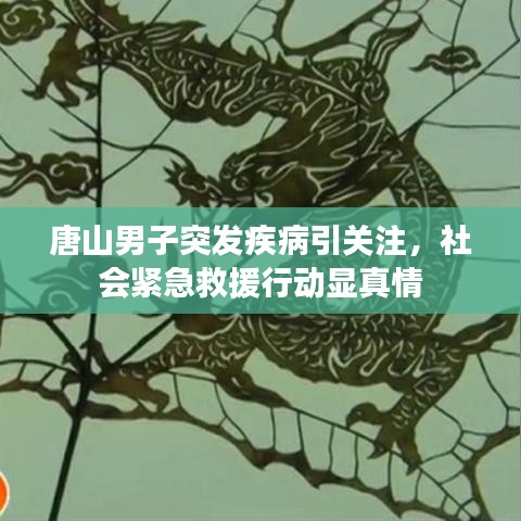 唐山男子突发疾病引关注，社会紧急救援行动显真情