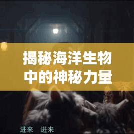 揭秘海洋生物中的神秘力量，十大恐怖水母排名！