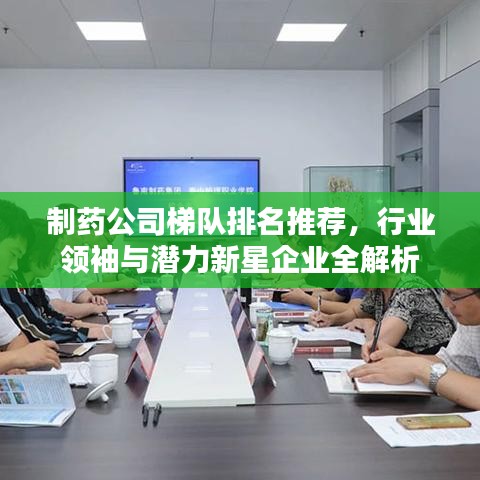 制药公司梯队排名推荐，行业领袖与潜力新星企业全解析