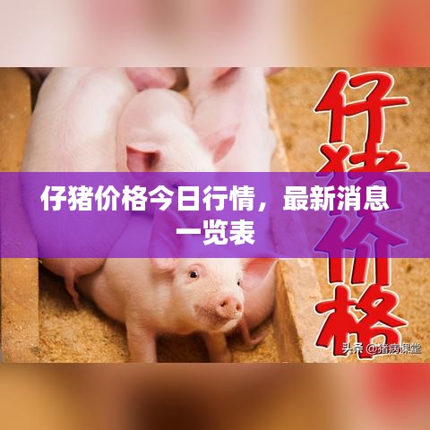 仔猪价格今日行情，最新消息一览表