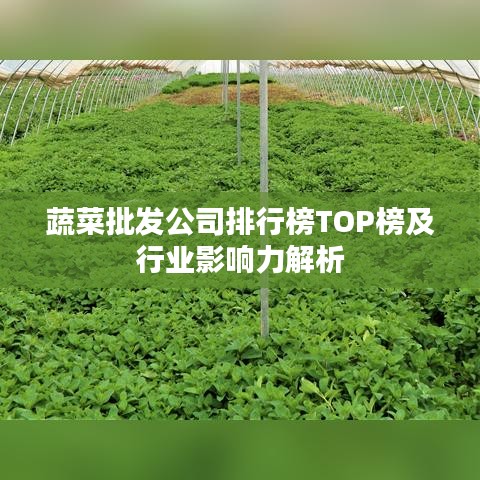 蔬菜批发公司排行榜TOP榜及行业影响力解析