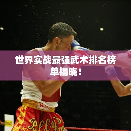世界实战最强武术排名榜单揭晓！