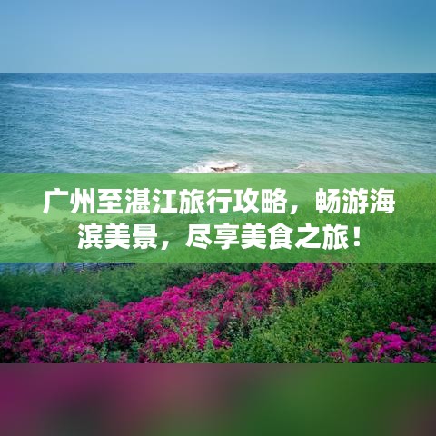 广州至湛江旅行攻略，畅游海滨美景，尽享美食之旅！