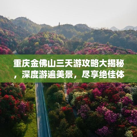 重庆金佛山三天游攻略大揭秘，深度游遍美景，尽享绝佳体验！
