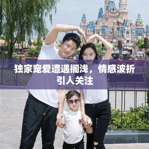 独家宠爱遭遇搁浅，情感波折引人关注