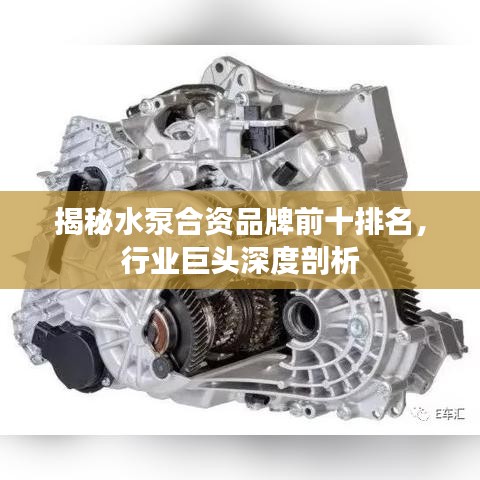 揭秘水泵合资品牌前十排名，行业巨头深度剖析