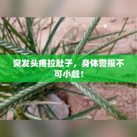 突发头疼拉肚子，身体警报不可小觑！