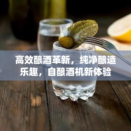 高效酿酒革新，纯净酿造乐趣，自酿酒机新体验