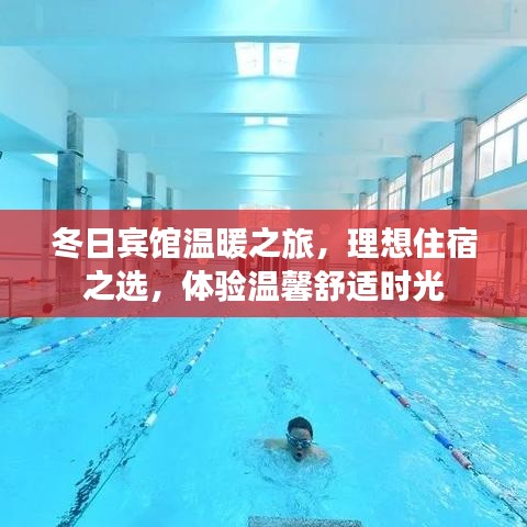 冬日宾馆温暖之旅，理想住宿之选，体验温馨舒适时光