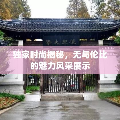 独家时尚揭秘，无与伦比的魅力风采展示