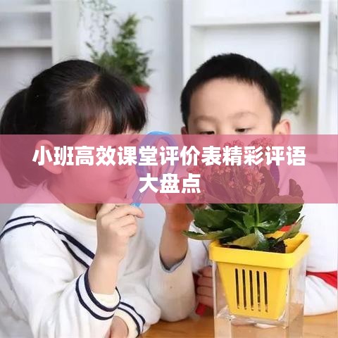 十全十美 第2页