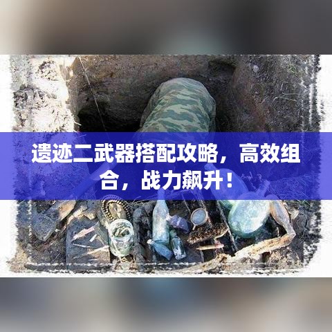 遗迹二武器搭配攻略，高效组合，战力飙升！
