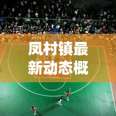 凤村镇最新动态概览，今日消息速递