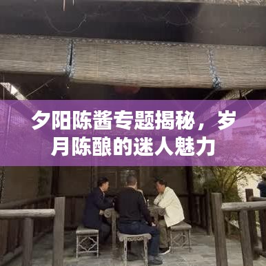 夕阳陈酱专题揭秘，岁月陈酿的迷人魅力