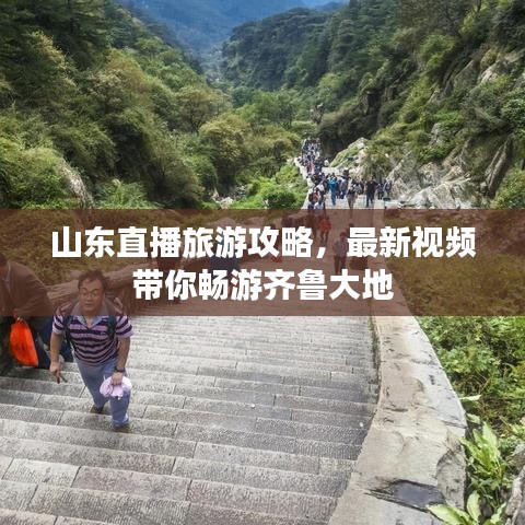 山东直播旅游攻略，最新视频带你畅游齐鲁大地