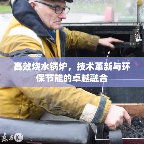 高效烧水锅炉，技术革新与环保节能的卓越融合