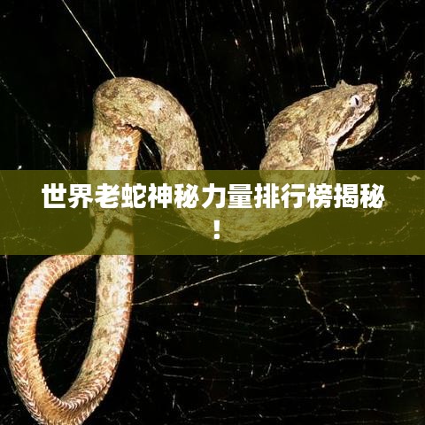 世界老蛇神秘力量排行榜揭秘！