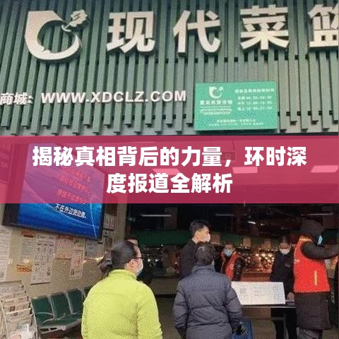 揭秘真相背后的力量，环时深度报道全解析
