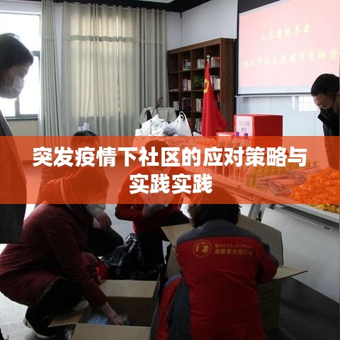 突发疫情下社区的应对策略与实践实践