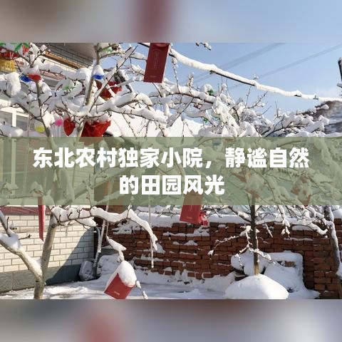 东北农村独家小院，静谧自然的田园风光