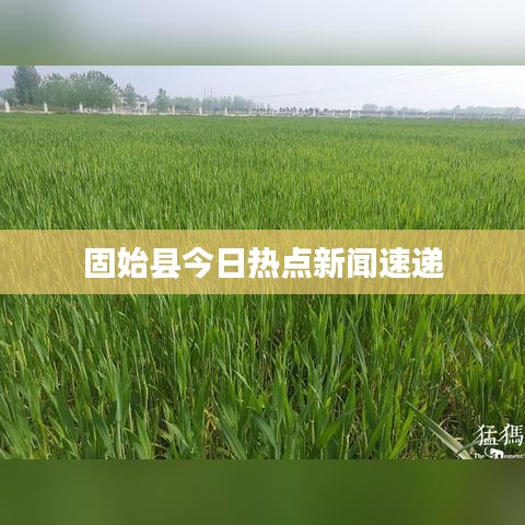 固始县今日热点新闻速递