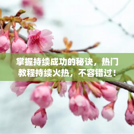 掌握持续成功的秘诀，热门教程持续火热，不容错过！