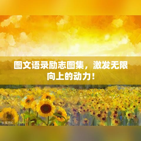 图文语录励志图集，激发无限向上的动力！
