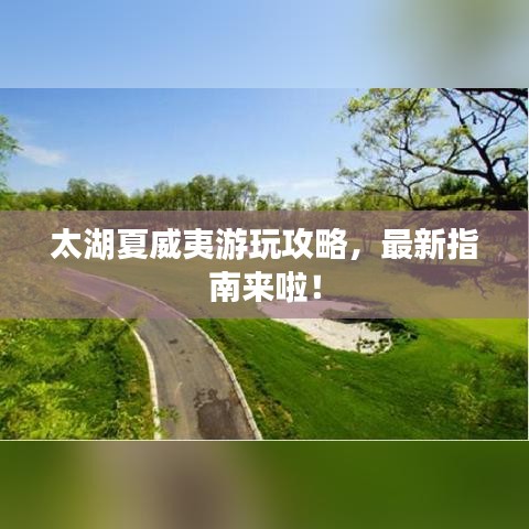 丰冠简介 第14页