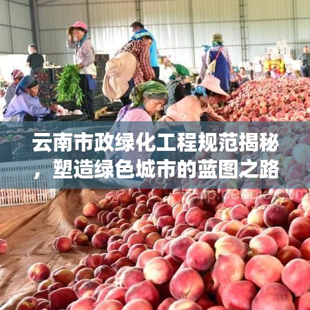云南市政绿化工程规范揭秘，塑造绿色城市的蓝图之路