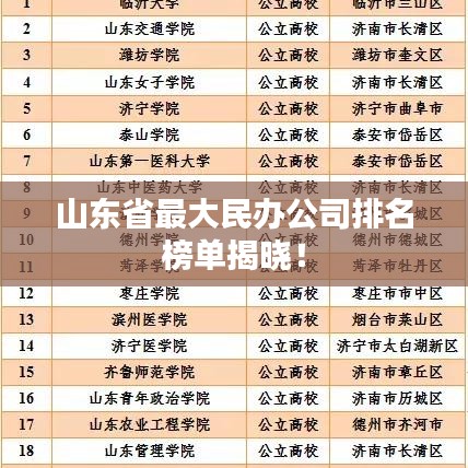 山东省最大民办公司排名榜单揭晓！