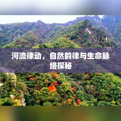 河流律动，自然韵律与生命脉络探秘