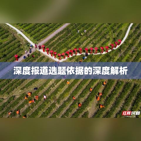 深度报道选题依据的深度解析