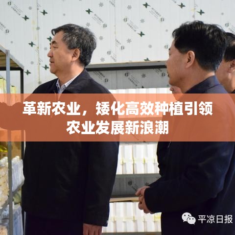 革新农业，矮化高效种植引领农业发展新浪潮