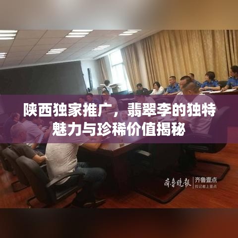 陕西独家推广，翡翠李的独特魅力与珍稀价值揭秘