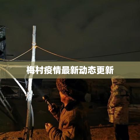 梅村疫情最新动态更新