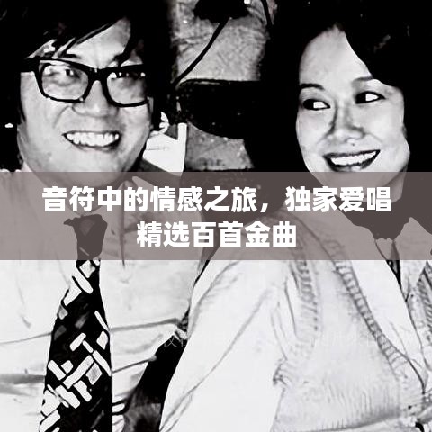 音符中的情感之旅，独家爱唱精选百首金曲