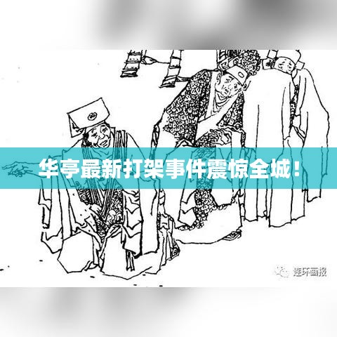华亭最新打架事件震惊全城！