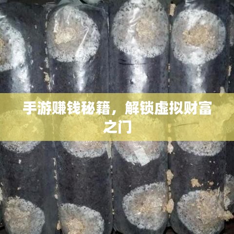 手游赚钱秘籍，解锁虚拟财富之门