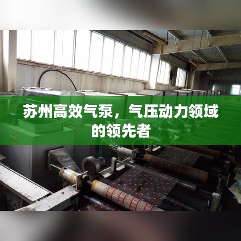 苏州高效气泵，气压动力领域的领先者