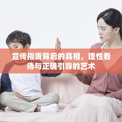 宣传指责背后的真相，理性看待与正确引导的艺术