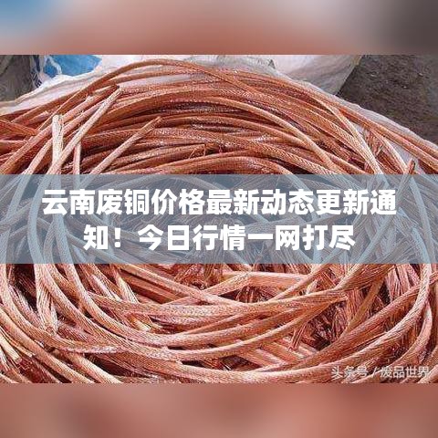 云南废铜价格最新动态更新通知！今日行情一网打尽