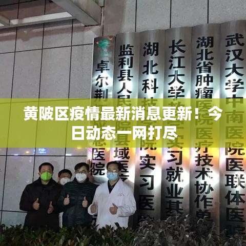 黄陂区疫情最新消息更新！今日动态一网打尽