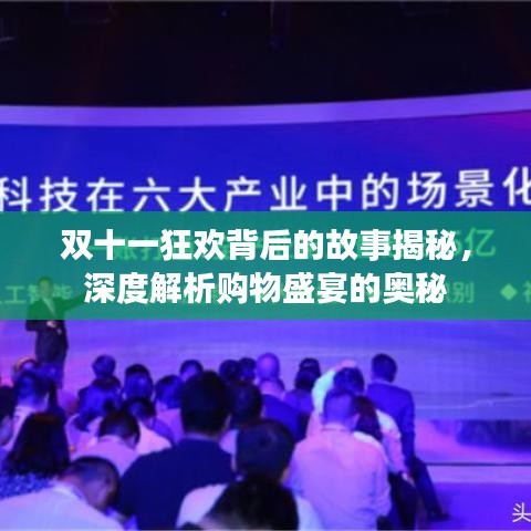 双十一狂欢背后的故事揭秘，深度解析购物盛宴的奥秘