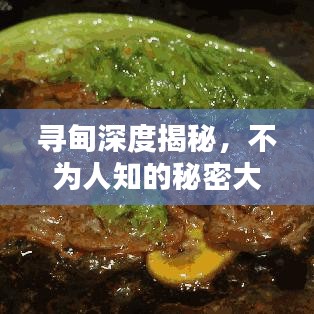 寻甸深度揭秘，不为人知的秘密大揭秘