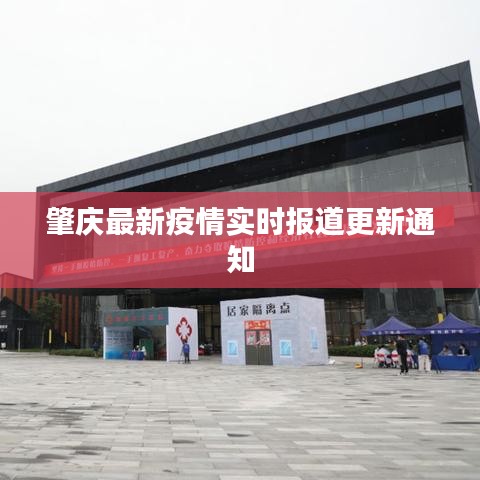 肇庆最新疫情实时报道更新通知
